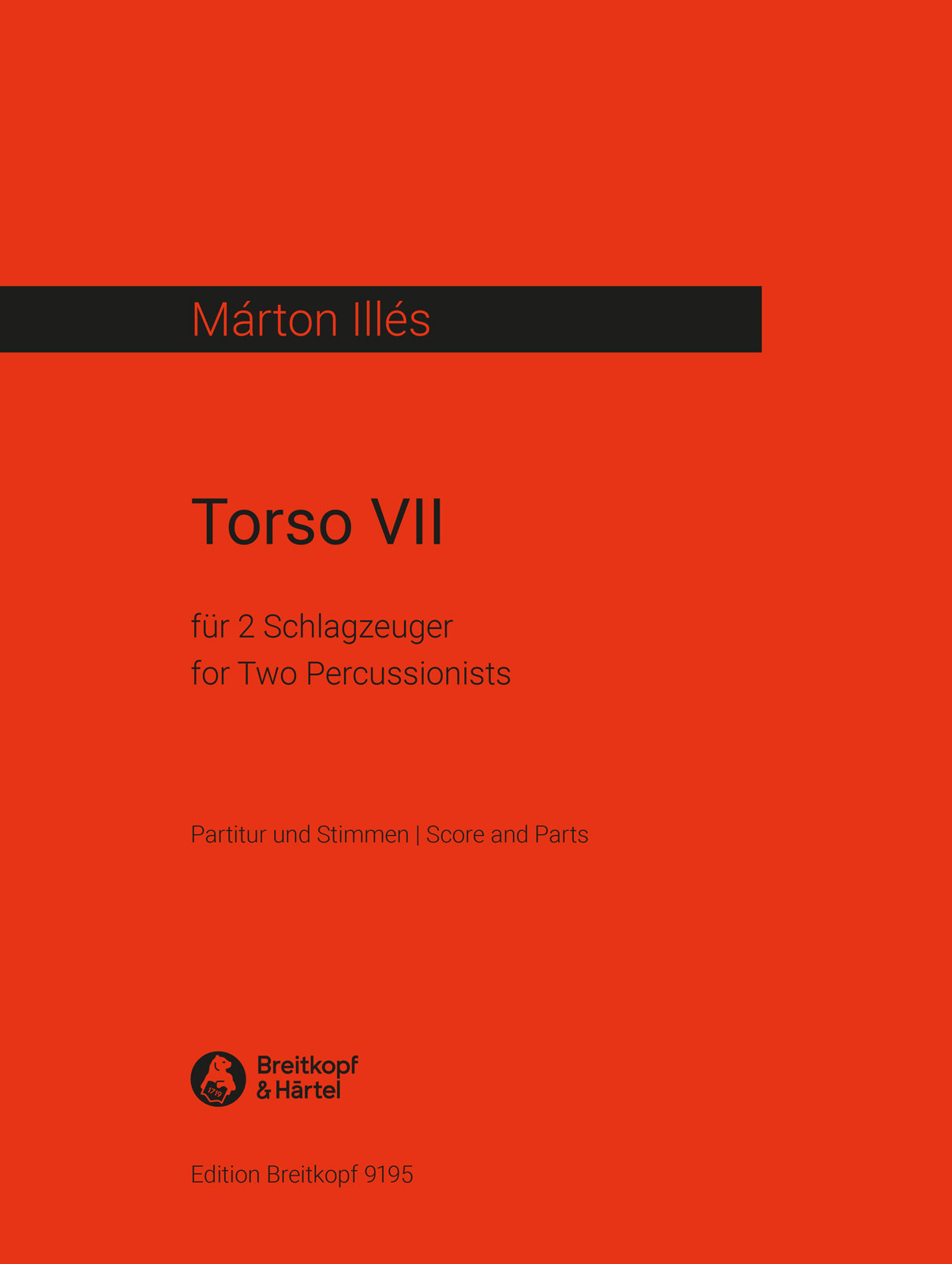 Vorderes Coverbild Torso VII