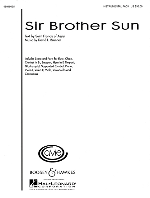 Vorderes Coverbild Sir Brother Sun