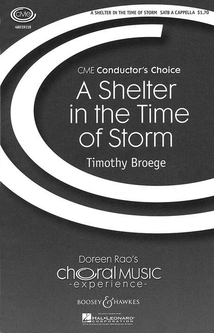 Vorderes Coverbild A Shelter in the Time of Storm