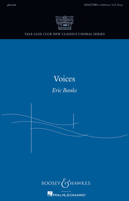 Vorderes Coverbild Voices