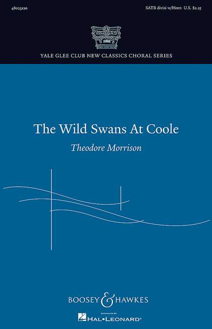 Vorderes Coverbild The Wild Swans at Coole