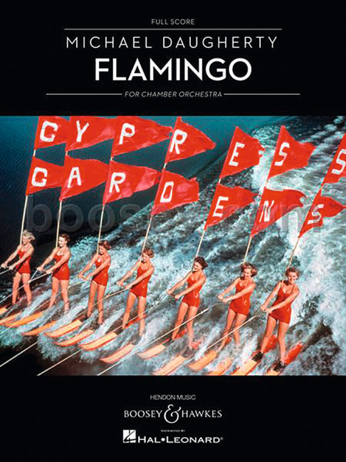 Vorderes Coverbild Flamingo (1991)