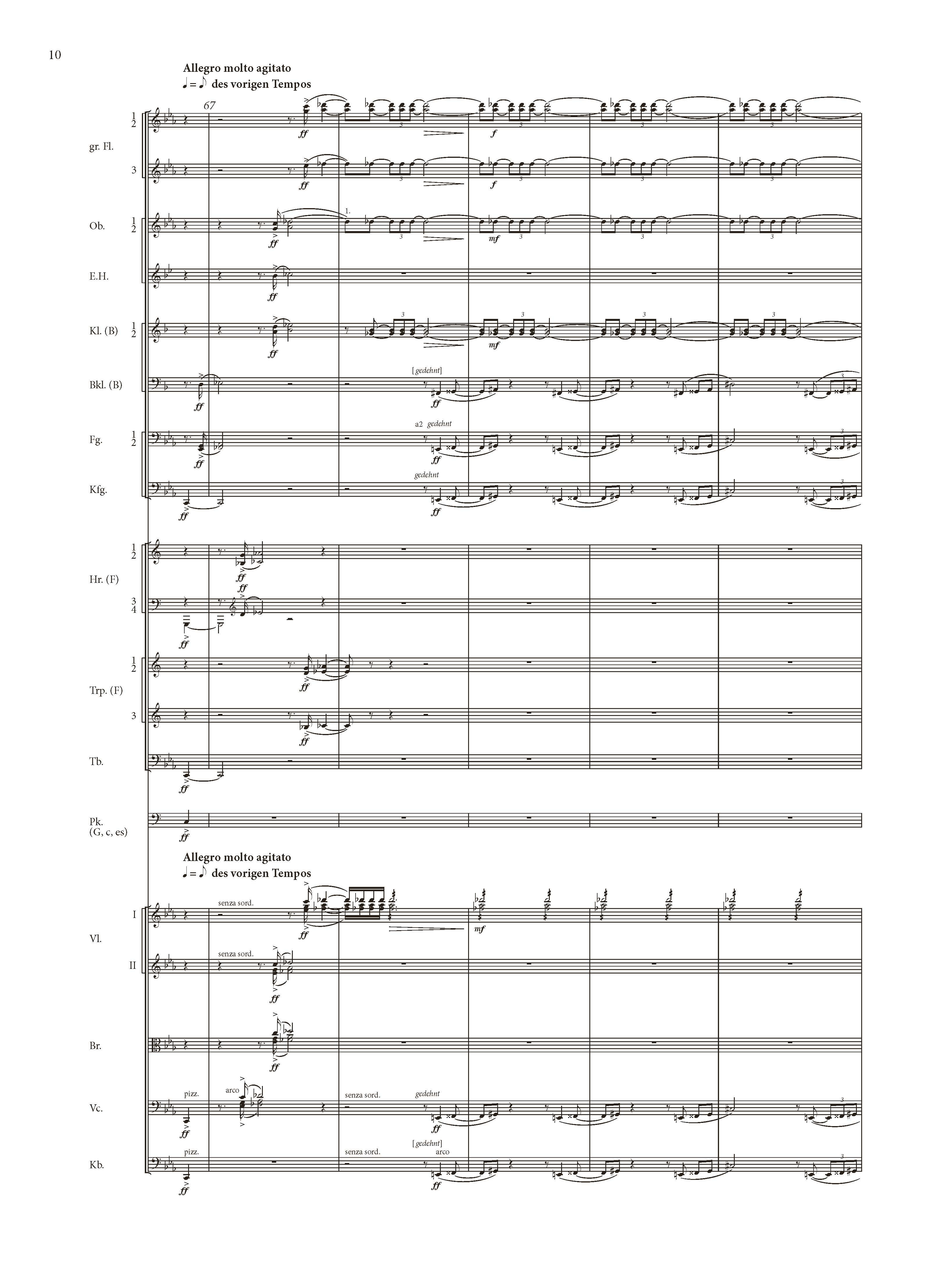 Anderes Coverbild Tod und Verklärung op. 24 (1889)