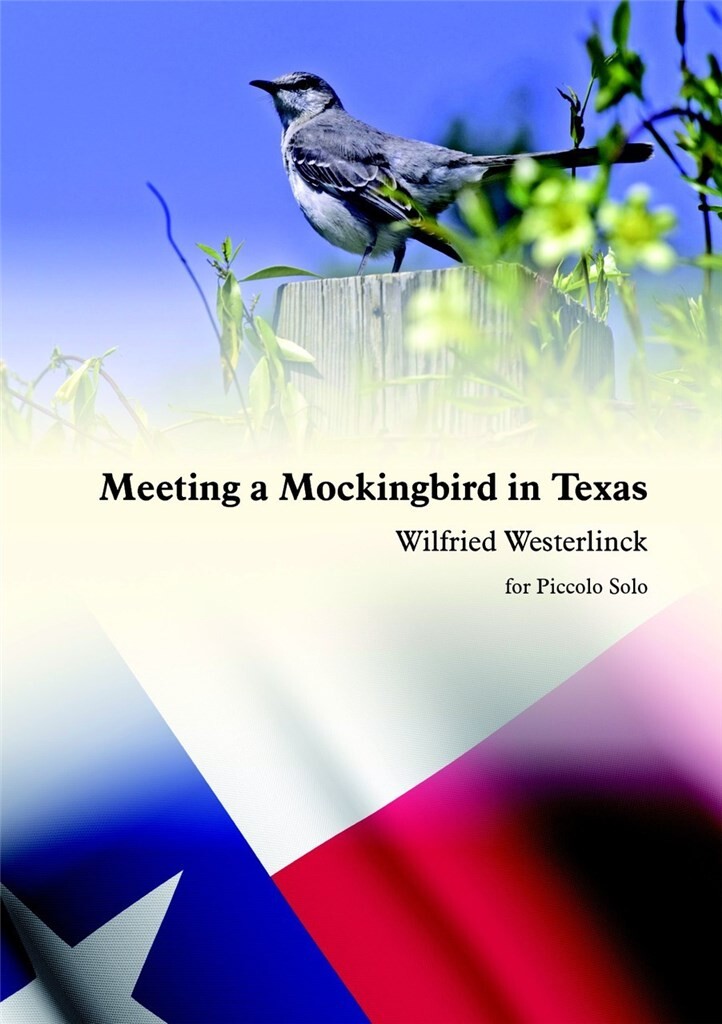 Anderes Coverbild Meeting a Mockingbird in Texas