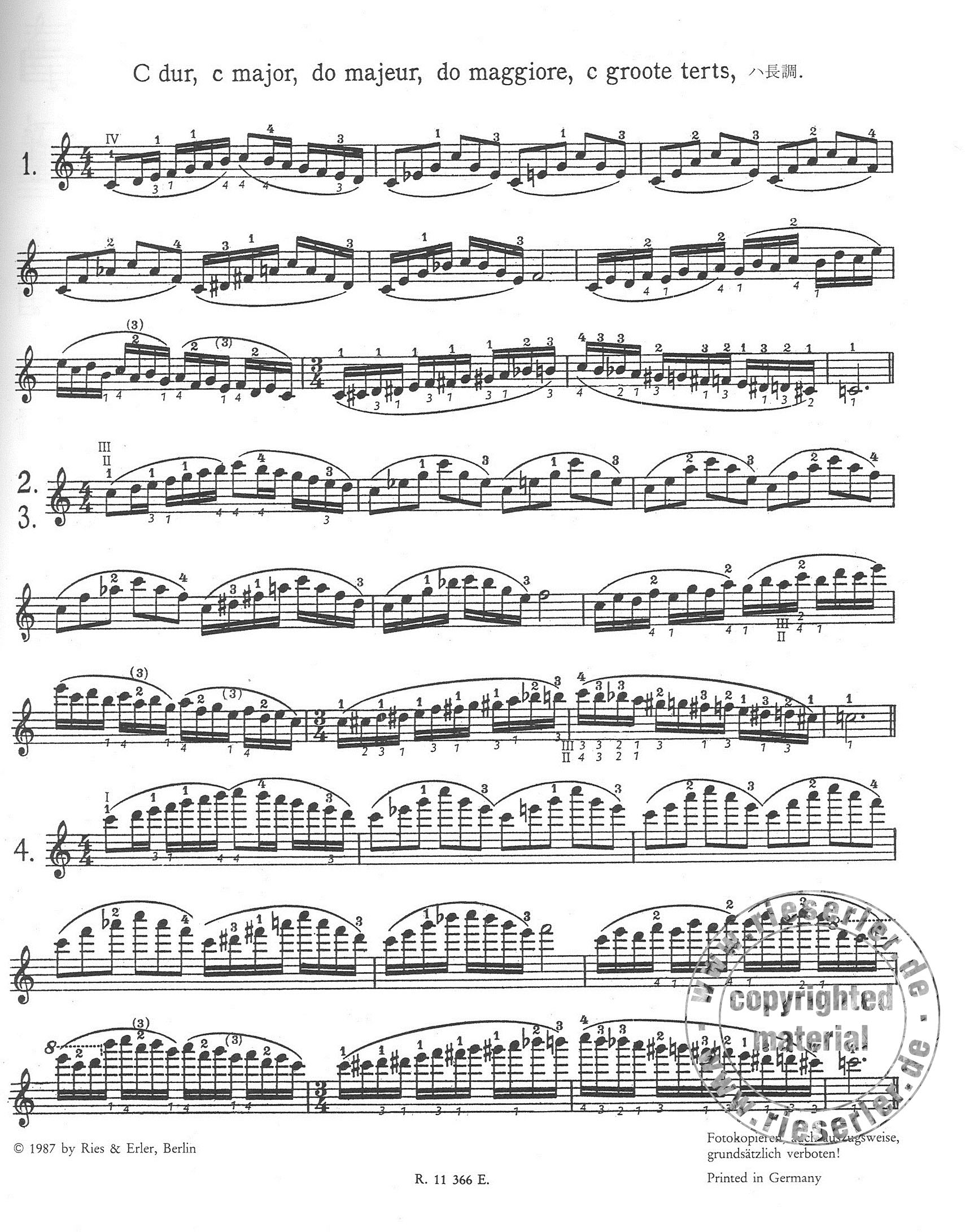 Anderes Coverbild Das Skalensystem für Violine