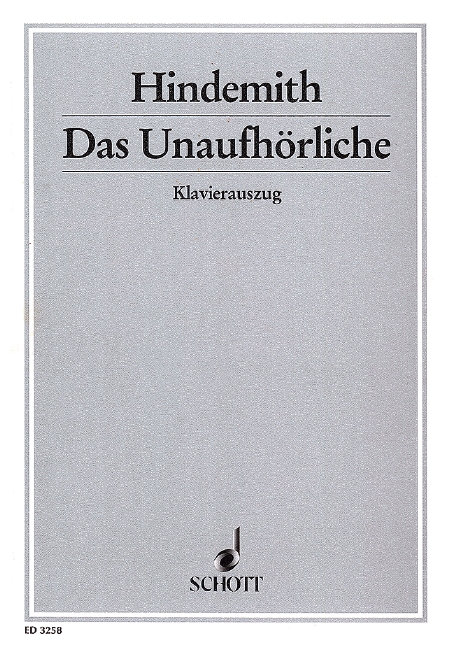 Vorderes Coverbild Das Unaufhörliche