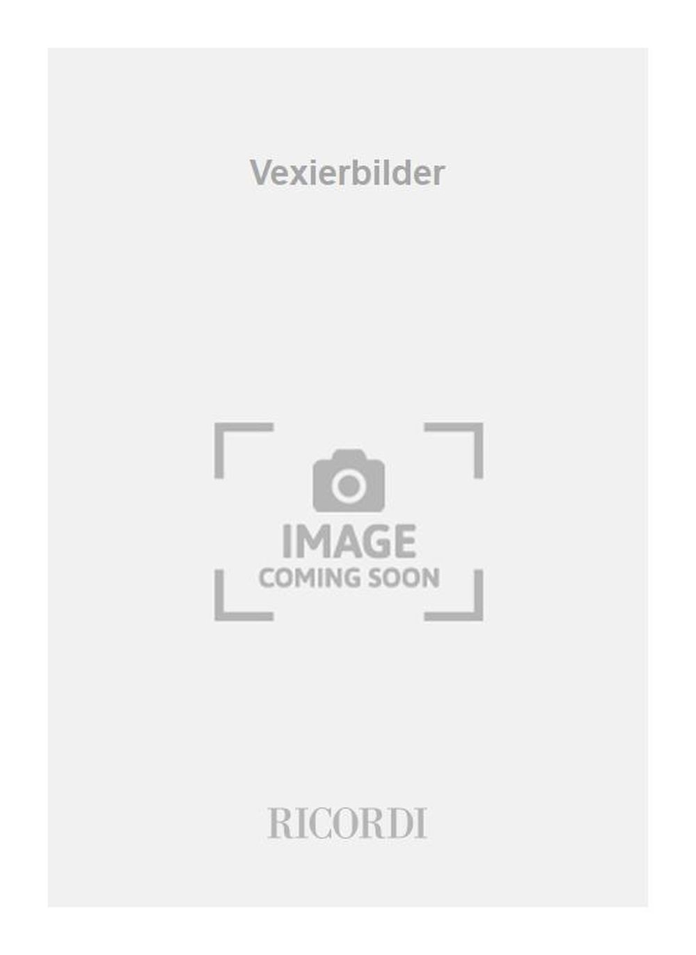Vorderes Coverbild Vexierbilder