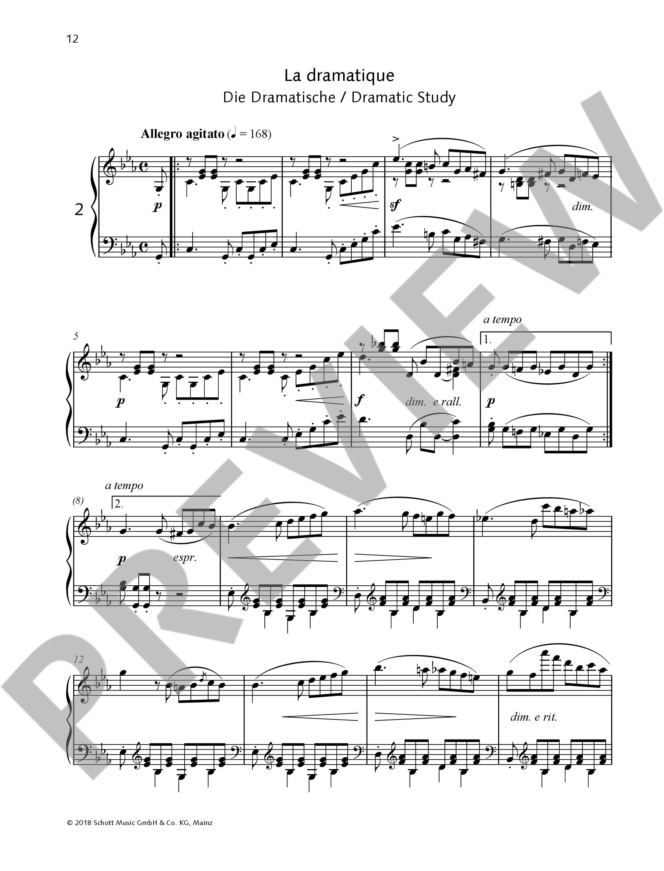 Anderes Coverbild 12 brillante und melodische Etüden op. 105
