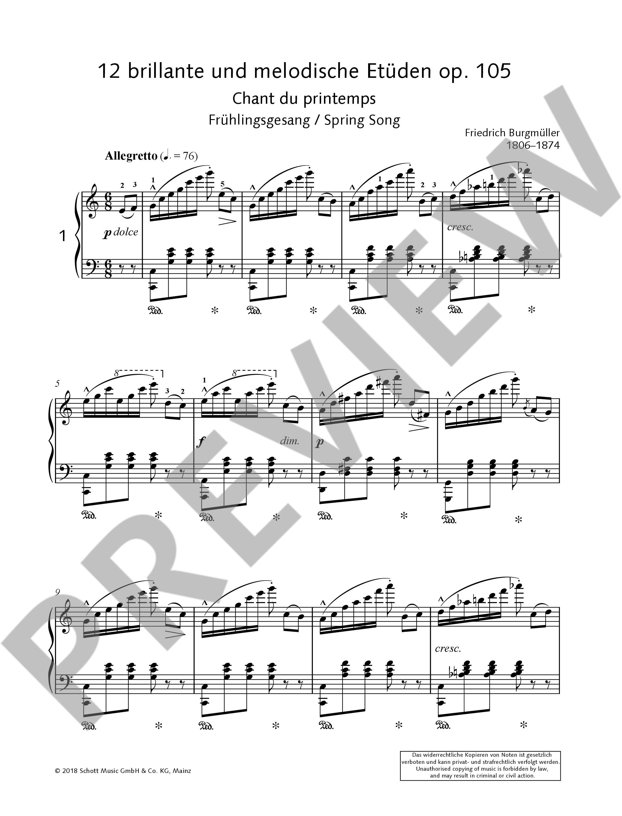 Anderes Coverbild 12 brillante und melodische Etüden op. 105