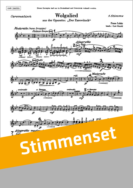 Vorderes Coverbild Wolgalied