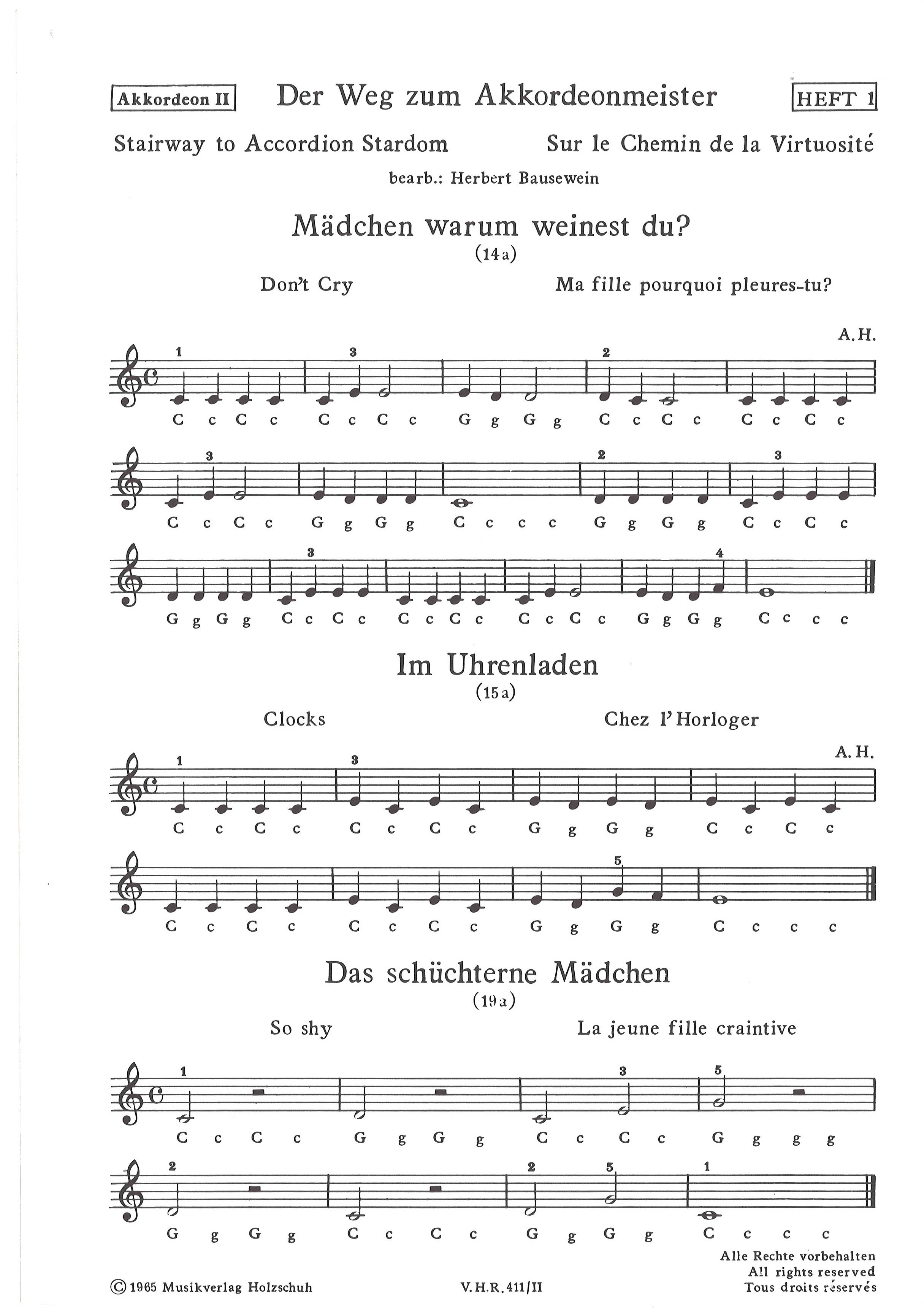 Vorderes Coverbild Der Weg zum Akkordeonmeister 1