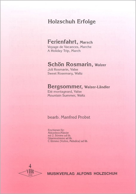 Vorderes Coverbild Holzschuh Erfolge, Band 4