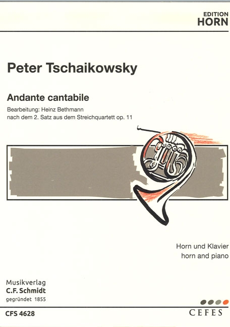 Vorderes Coverbild Andante cantabile aus op. 11