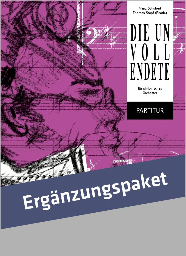 Vorderes Coverbild Die Unvollendete