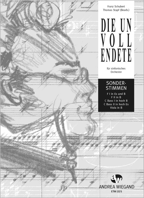 Vorderes Coverbild Die Unvollendete