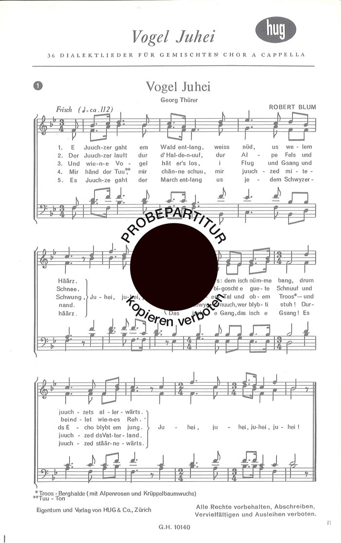 Vorderes Coverbild Vogel juhei No 1