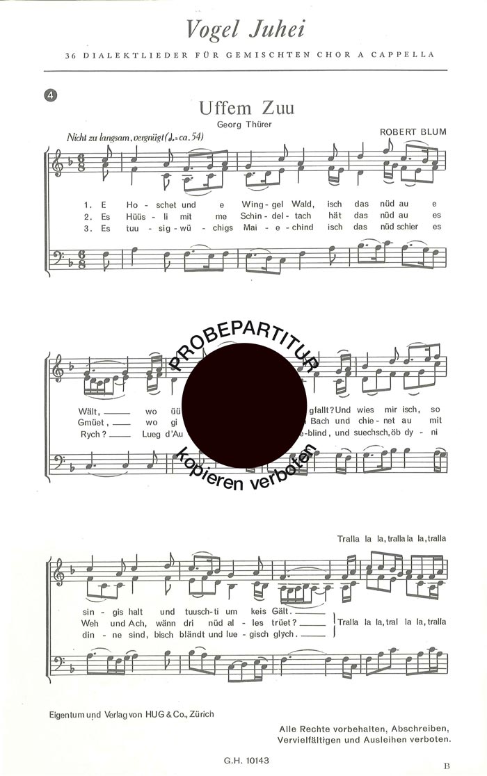 Vorderes Coverbild Vogel juhei No 4