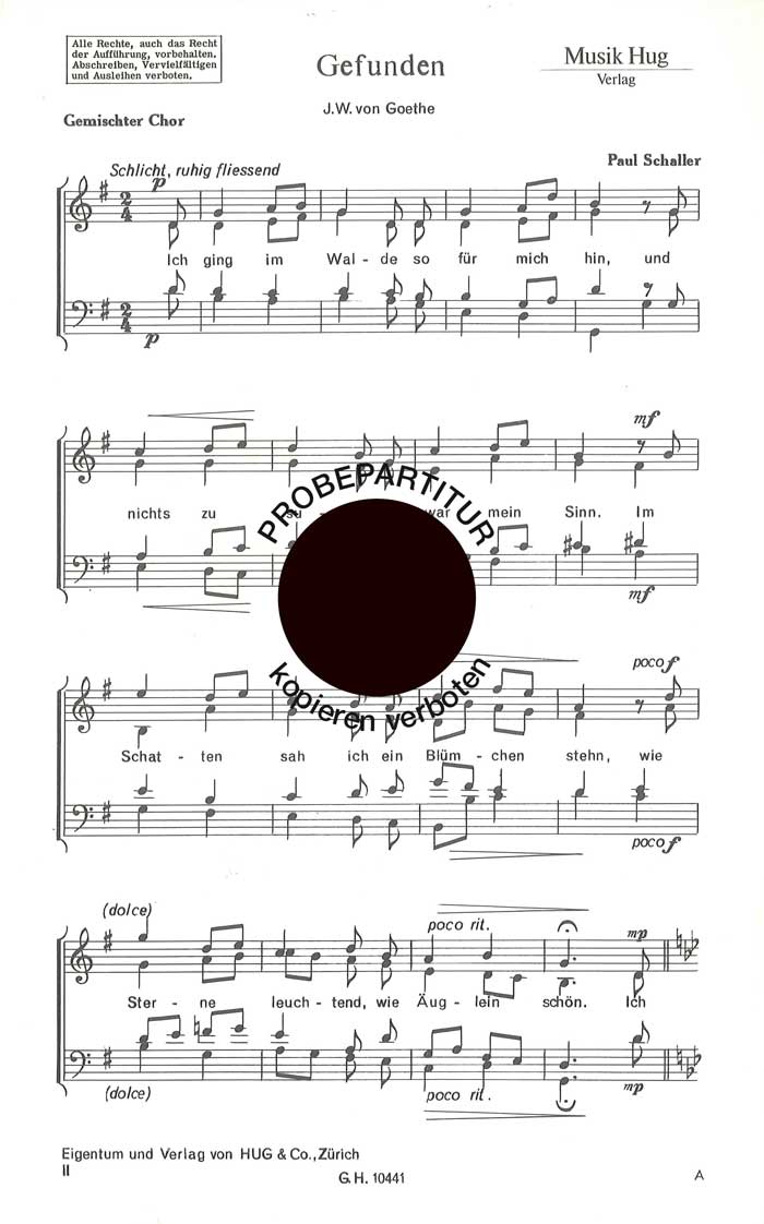 Vorderes Coverbild Gefunden