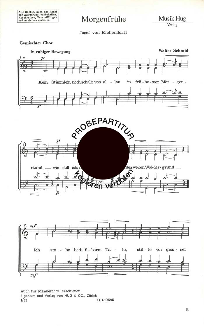 Vorderes Coverbild Morgenfrühe