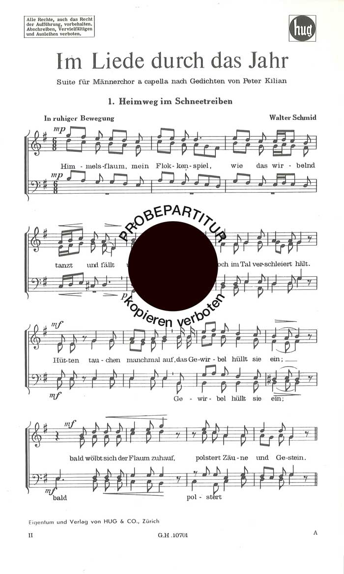 Vorderes Coverbild Heimweg im Schneetreiben