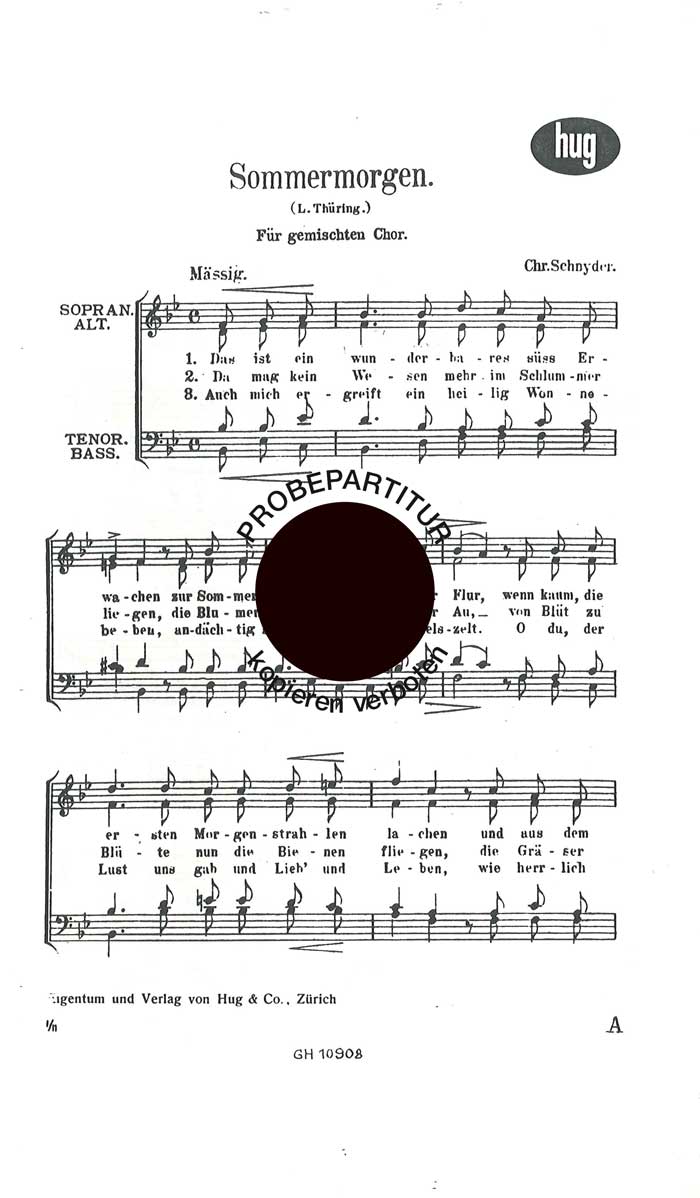 Vorderes Coverbild Sommermorgen