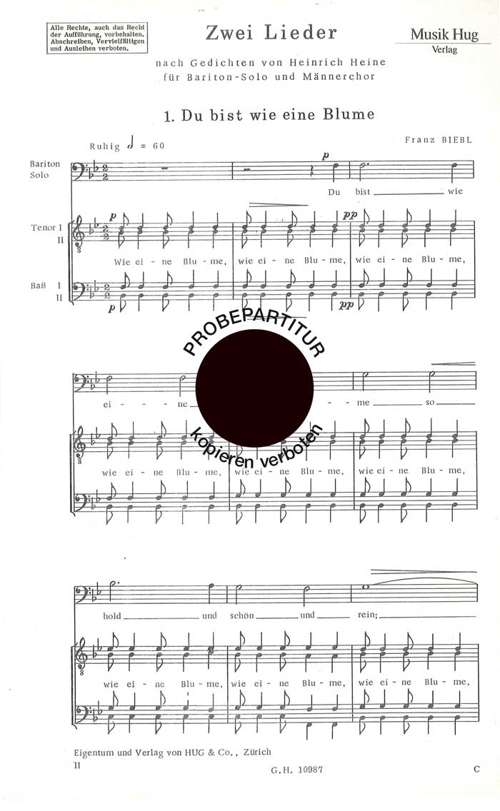 Vorderes Coverbild Du bist wie eine Blume