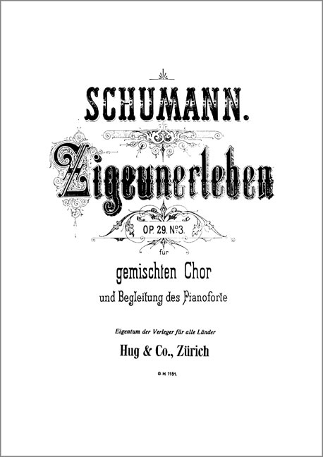 Vorderes Coverbild Zigeunerleben