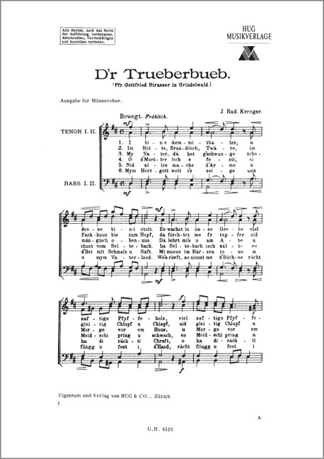 Vorderes Coverbild Trueberbueb