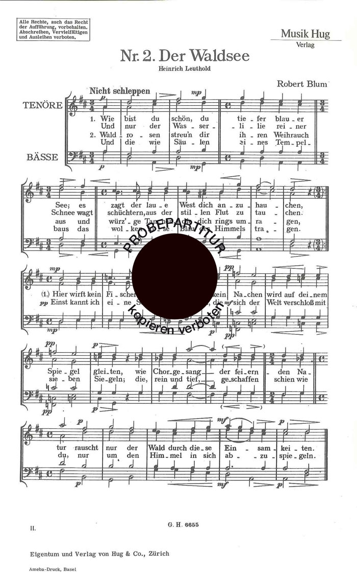 Vorderes Coverbild Wasdsee