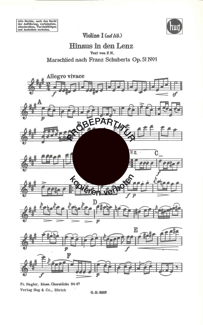 Vorderes Coverbild Hinaus in den Lenz