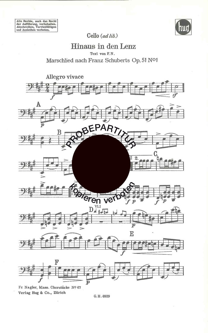 Vorderes Coverbild Hinaus in den Lenz