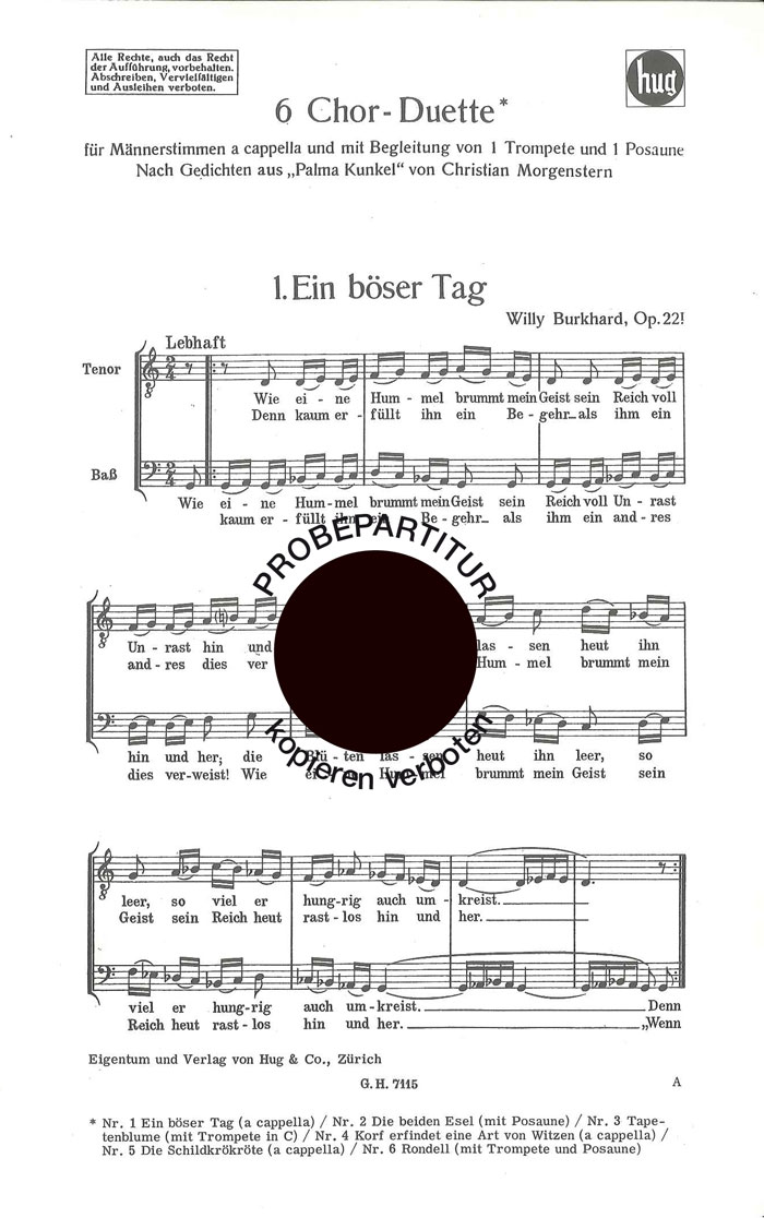 Vorderes Coverbild Böser Tag