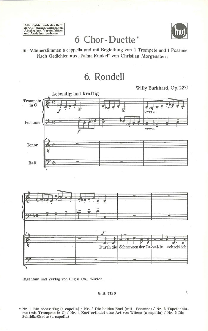 Vorderes Coverbild Rondell