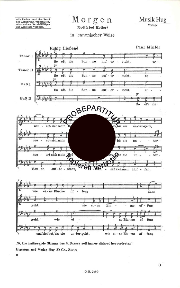 Vorderes Coverbild Morgen