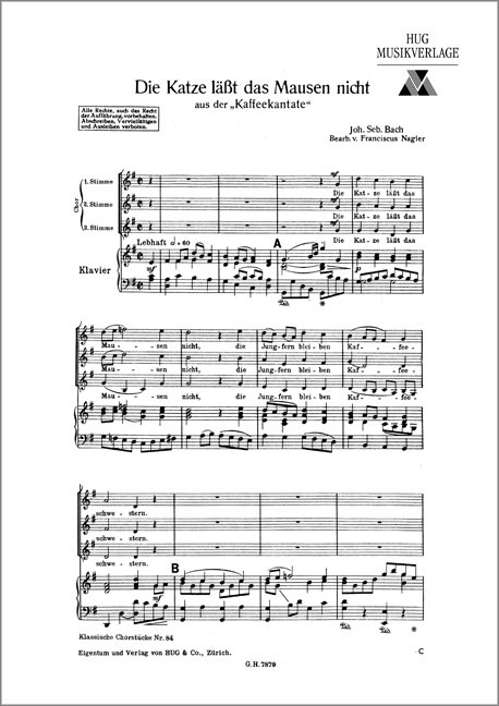 Vorderes Coverbild Katze lässt das Mausen