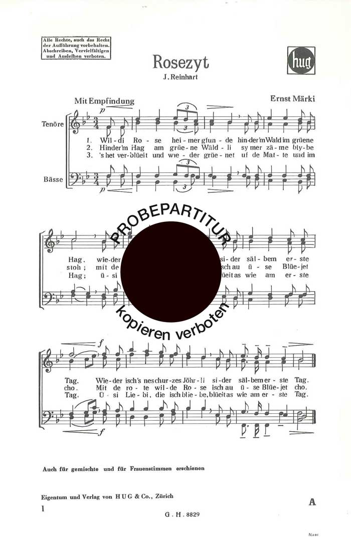 Vorderes Coverbild Rosezyt