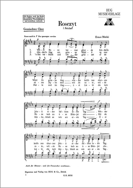 Vorderes Coverbild Rosezyt