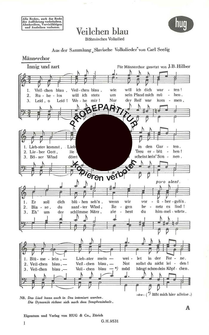 Vorderes Coverbild Veilchen blau