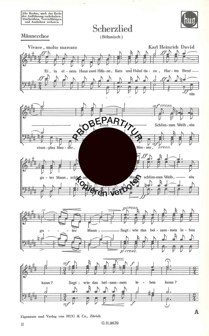 Vorderes Coverbild Scherzlied