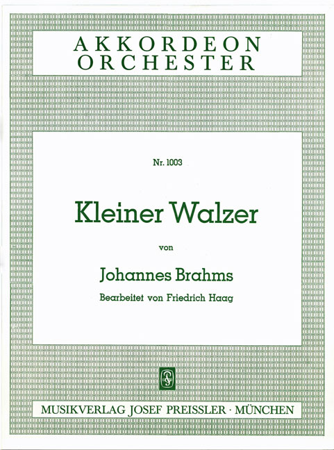 Vorderes Coverbild Kleiner Walzer