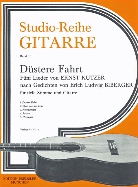 Vorderes Coverbild Düstere Fahrt.