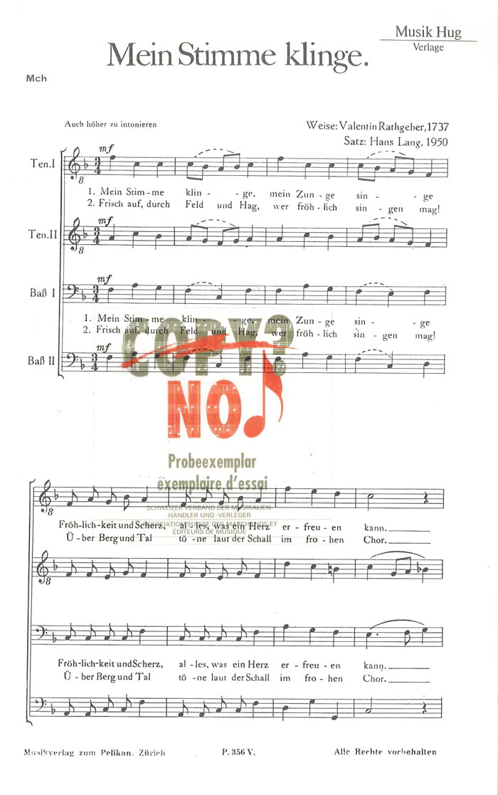 Vorderes Coverbild Meine Stimme klinge