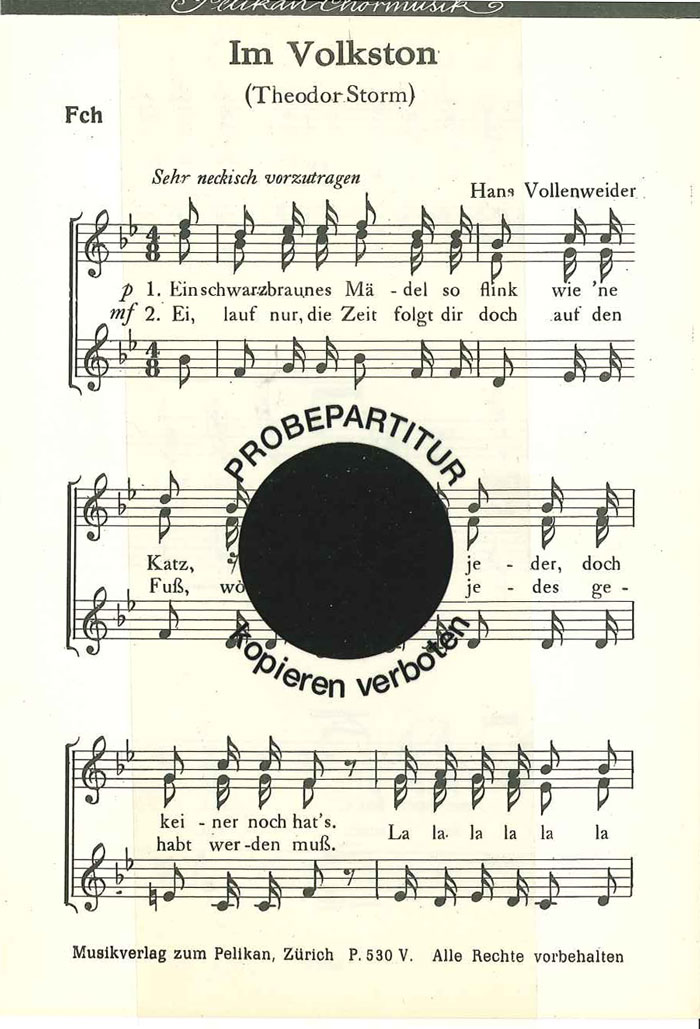 Vorderes Coverbild Im Volkston