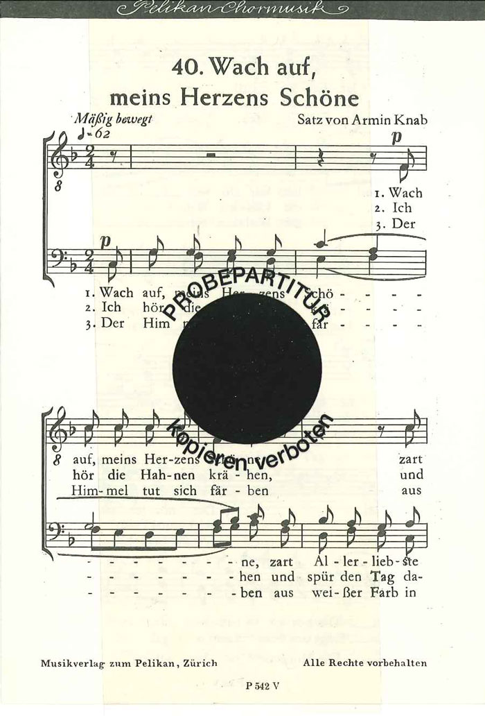 Vorderes Coverbild Wach auf meins Herzens Schöne