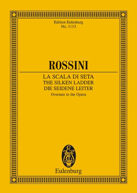 Vorderes Coverbild Die seidene Leiter