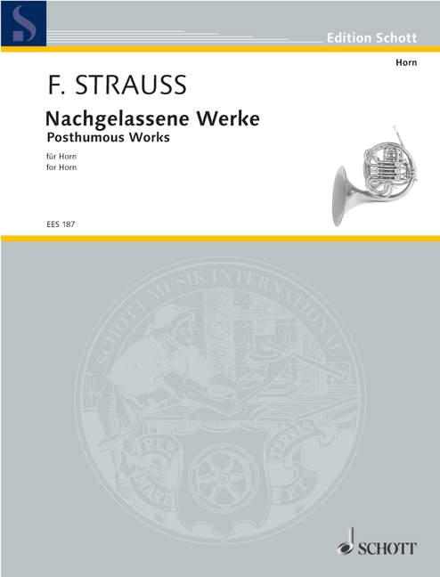 Vorderes Coverbild Nachgelassene Werke