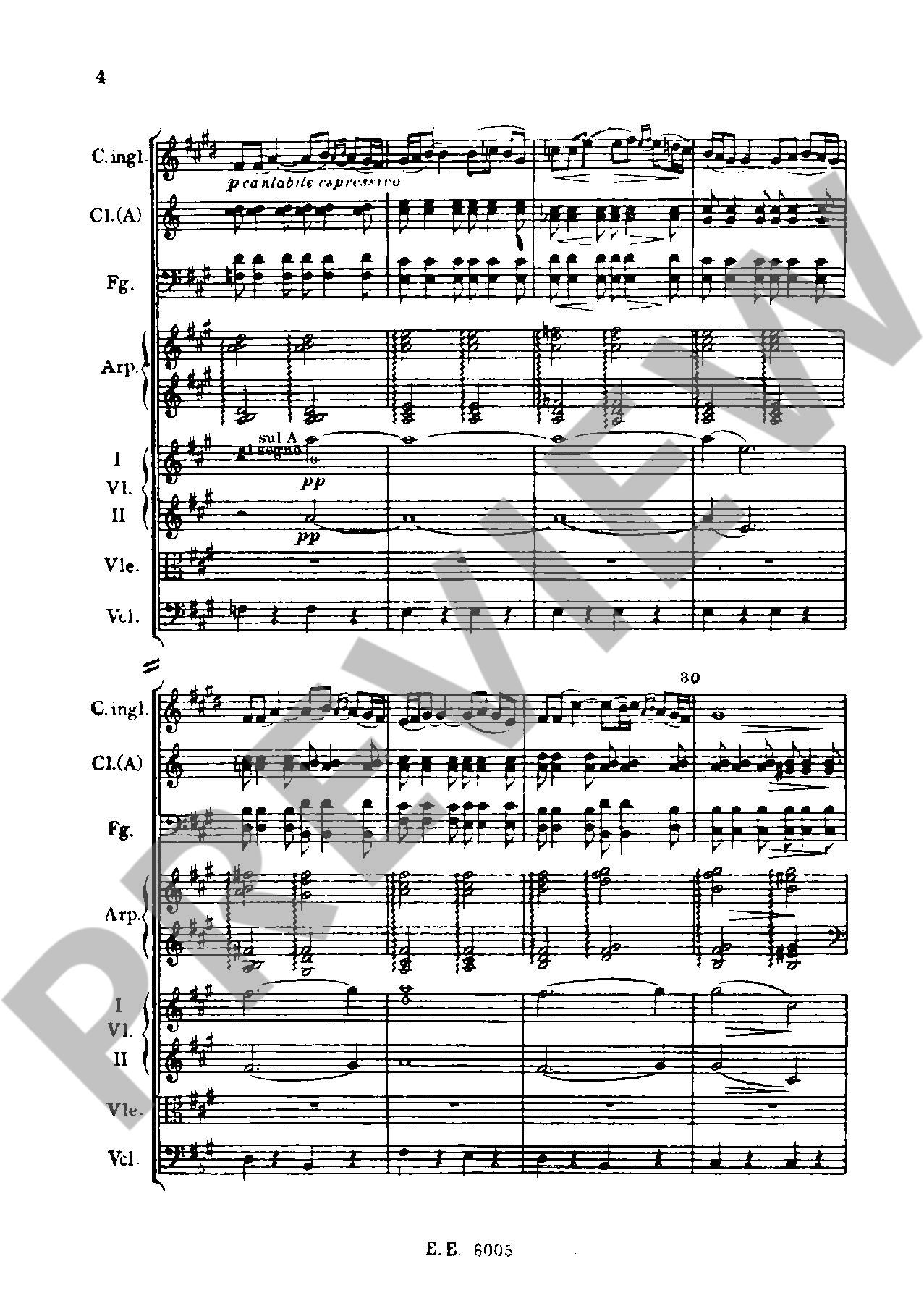 Anderes Coverbild Polowetzer Tänze