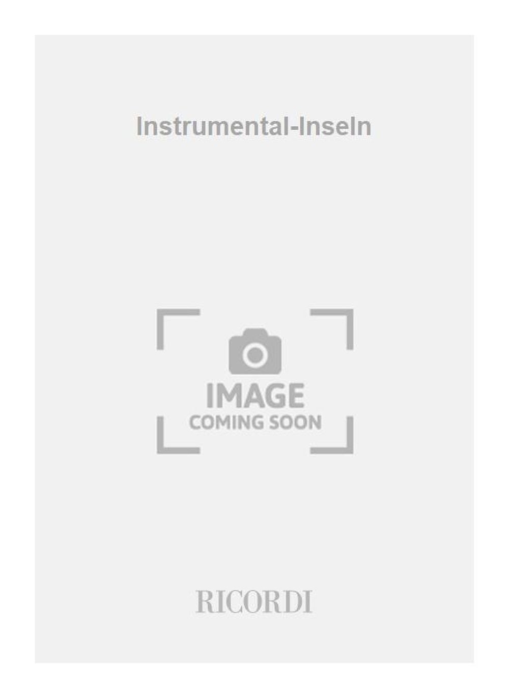 Vorderes Coverbild Instrumental-Inseln (aus "Bählamms Fest")