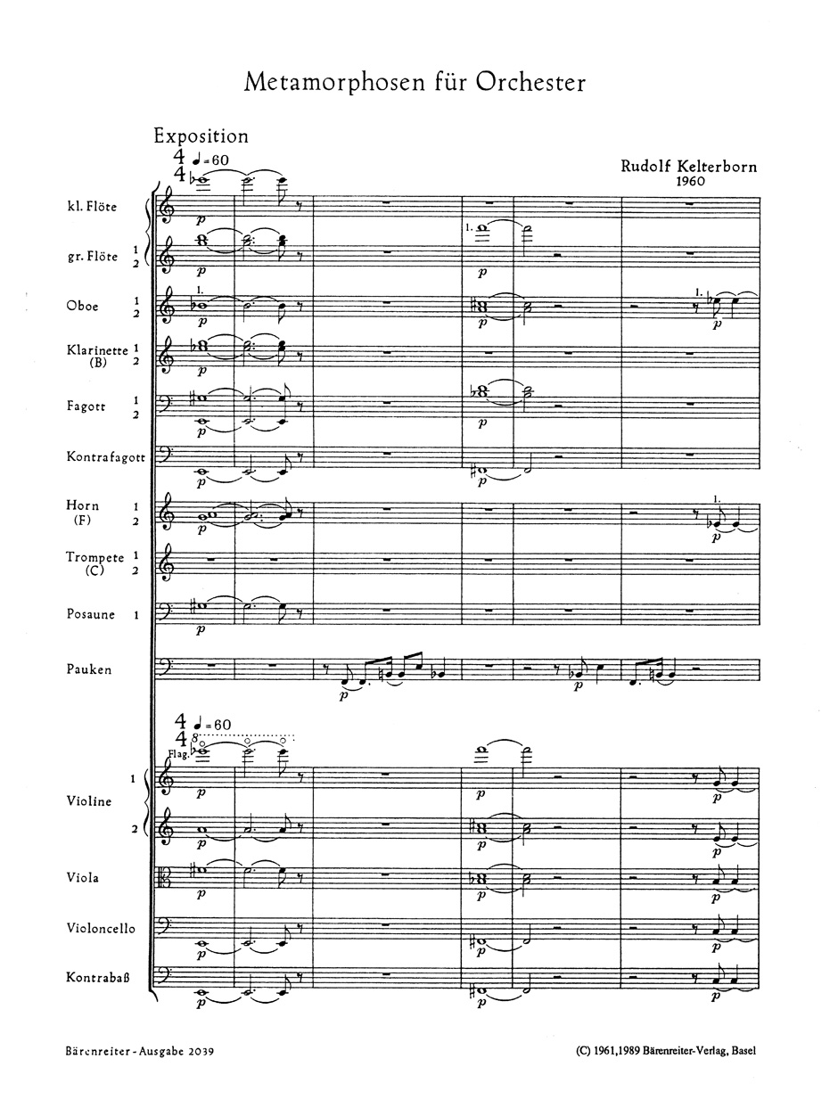 Anderes Coverbild Metamorphosen für Orchester (1960)