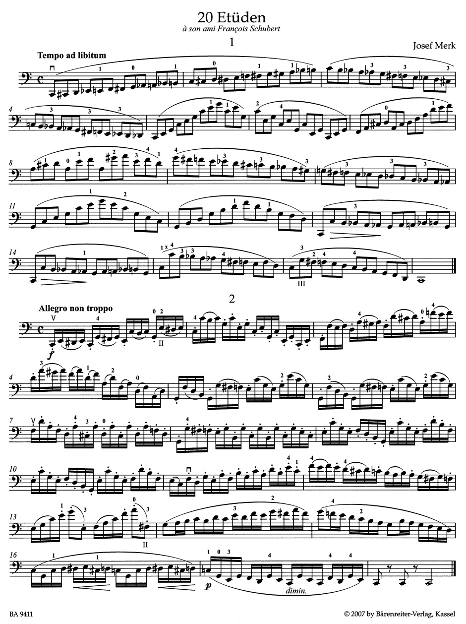 Anderes Coverbild 20 Etüden für Violoncello op. 11